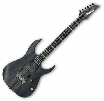 Electric guitar Ibanez RGIT20FE Transparent Gray Flat - 1