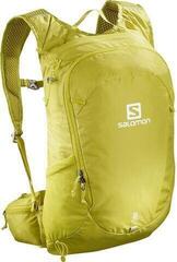 Salomon Trailblazer 20 Citronelle Salomon Trailblazer 20 Citronelle