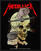 Paikka, tarra, rintamerkki Metallica Harvester Of Sorrow Sew-On Patch