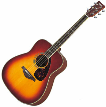 Akoestische gitaar Yamaha FG 720 S BRS - 1