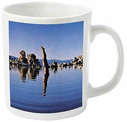 Musiciens dans la cuisine Pink Floyd Wish You Were Here - Lake Mug