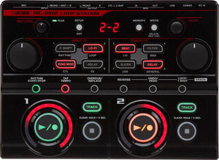 Guitar effekt Boss RC-202 Guitar effekt