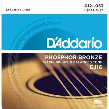 Cordes de guitares acoustiques D'Addario EJ16-10P - 1