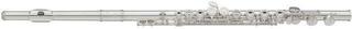 Flaut de concert Yamaha YFL 222 Flaut de concert