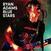 Vinylskiva Ryan Adams - Blue Stars (2 LP)