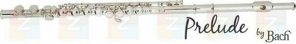 Concert flute Bach FL 700 E - 1