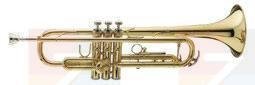 Bb-trompet Bach TR 700