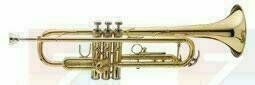 Bb Trumpeta Bach TR 700 - 1