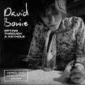 David Bowie - Spying Through A Keyhole (4 LP)