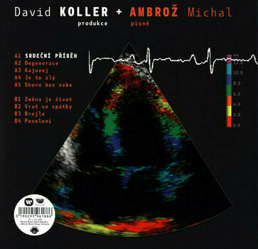 Vinyl Record Michal Ambrož & David Koller - Srdecni Pribeh (LP) - 1