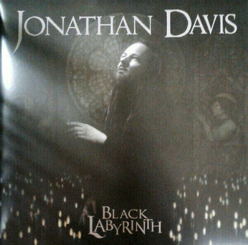 Płyta winylowa Jonathan Davis - Black Labyrinth (LP) - 1