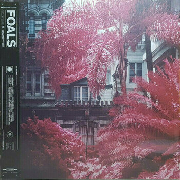 Vinyl Record Foals - Everything Not Saved Will Be Lost Part 1 (LP) - 1
