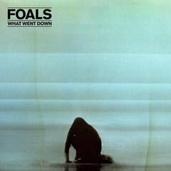 LP Foals - What Went Down (LP)