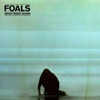 Vinyl Record Foals - What Went Down (LP) - 1