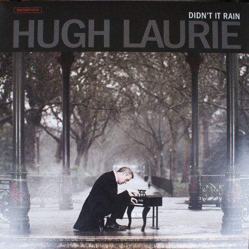 Vinyylilevy Hugh Laurie - Didn'T It Rain (LP)