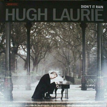Vinyl Record Hugh Laurie - Didn'T It Rain (LP) - 1