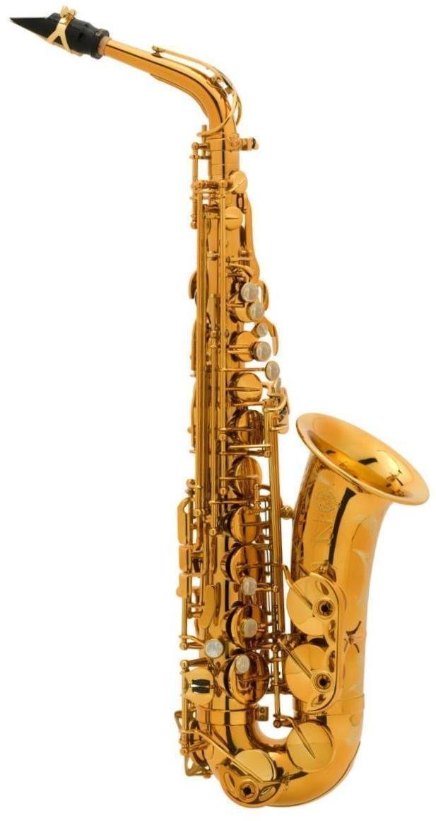 Saxophones Alto Selmer Reference alto sax DGG