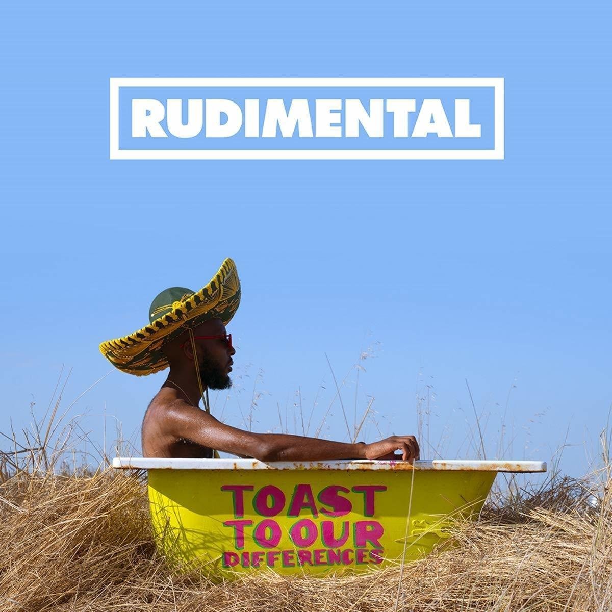 Disco de vinilo Rudimental - Toast To Our Differences (LP)