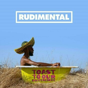 Vinyl Record Rudimental - Toast To Our Differences (LP) - 1