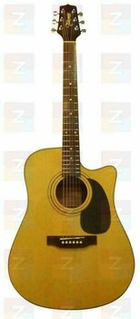 Dreadnought elektro-akoestische gitaar Takamine EG 530 C - 1