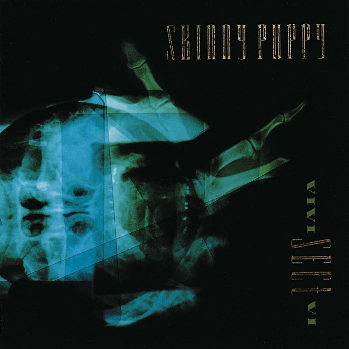 Disco de vinilo Skinny Puppy - Vivi Sect Vi (LP)