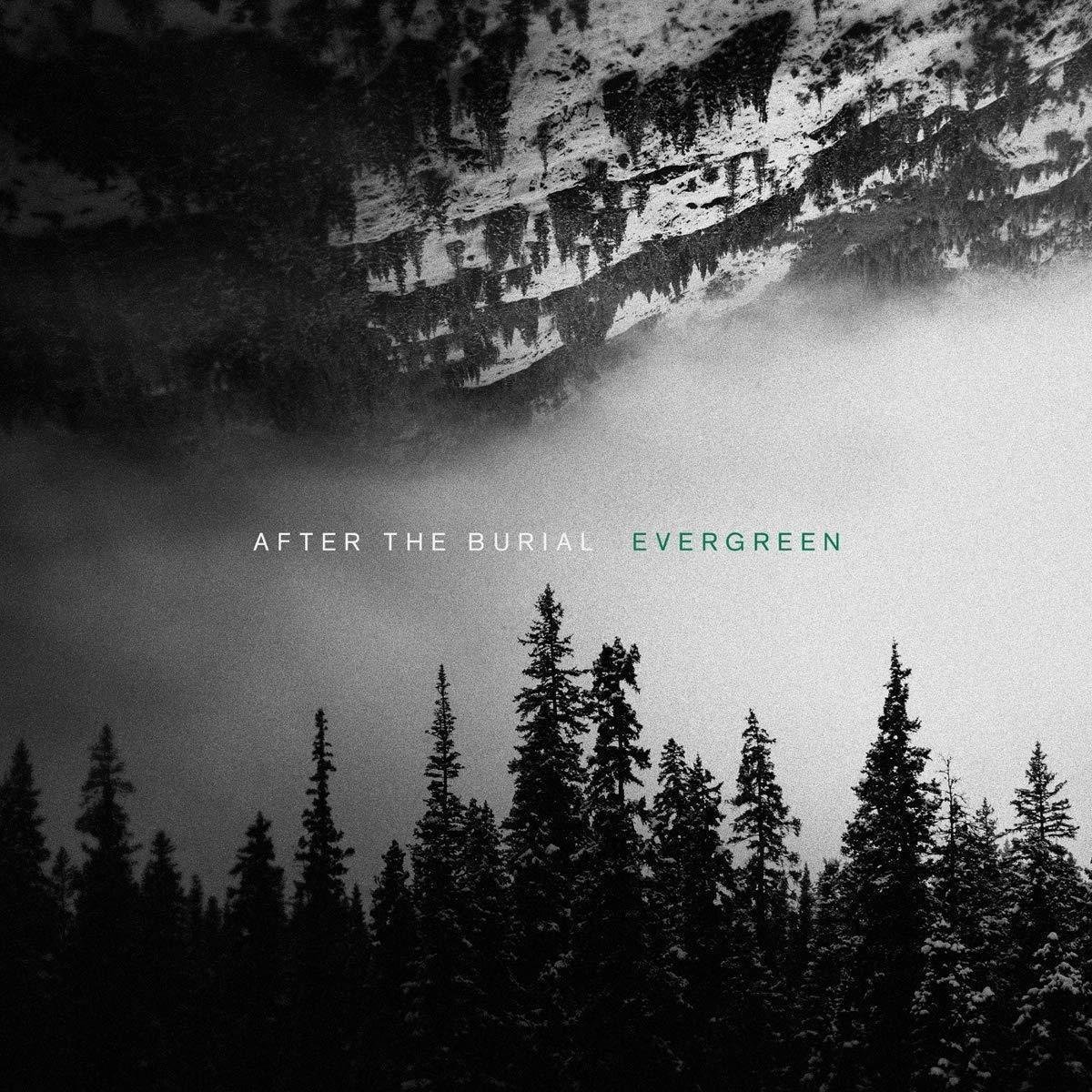 Vinyl Record After the Burial - Evergreen (LP)