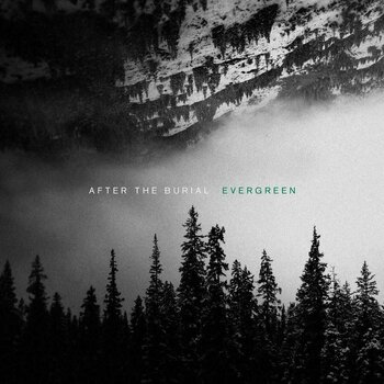 Vinyl Record After the Burial - Evergreen (LP) - 1