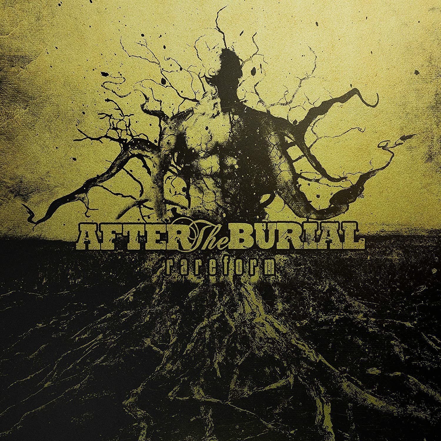 Vinyl Record After the Burial - Rareform (10 Year Anniversary) (LP)