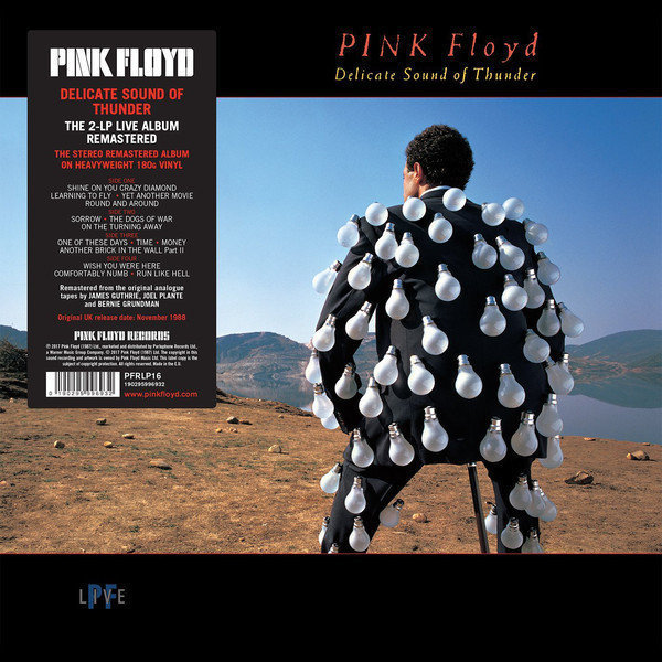 Vinyl Record Pink Floyd - Delicate Sound Of Thunder (LP)