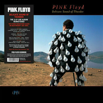 Vinyl Record Pink Floyd - Delicate Sound Of Thunder (LP) - 1