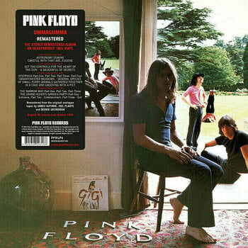 Hanglemez Pink Floyd - Ummagummma (2011 Remastered) (2 LP) - 1