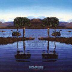 LP platňa Bruce Dickinson - Skunkworks (2 LP)