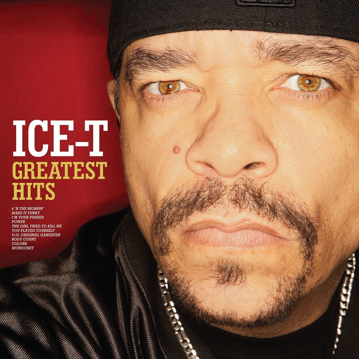 Disque vinyle Ice-T - Rsd - Greatest Hits (LP)