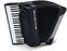 Piano accordion
 Weltmeister Supra 41/120/IV/11/5 Cassotto Black Piano accordion
