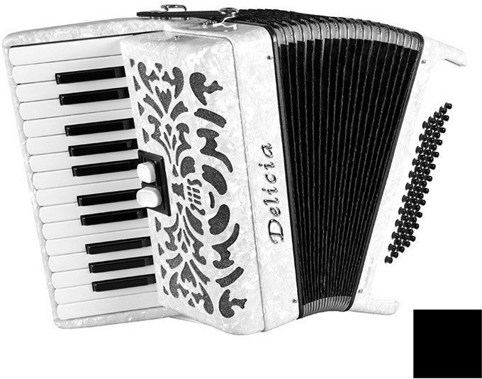 Piano accordion
 Delicia Junior 24 Black