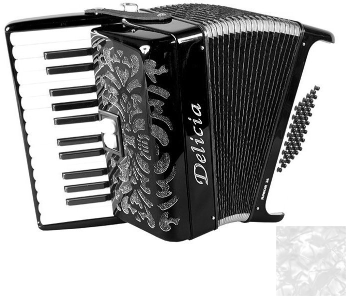 Piano accordion
 Delicia Junior 26 White