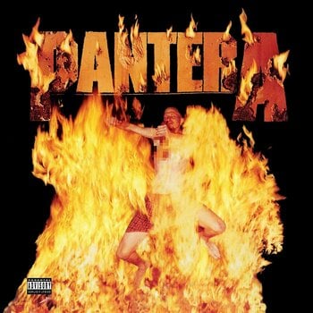 Vinylskiva Pantera - Reinventing The Steel (LP) - 1