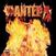 Płyta winylowa Pantera - Reinventing The Steel (LP)