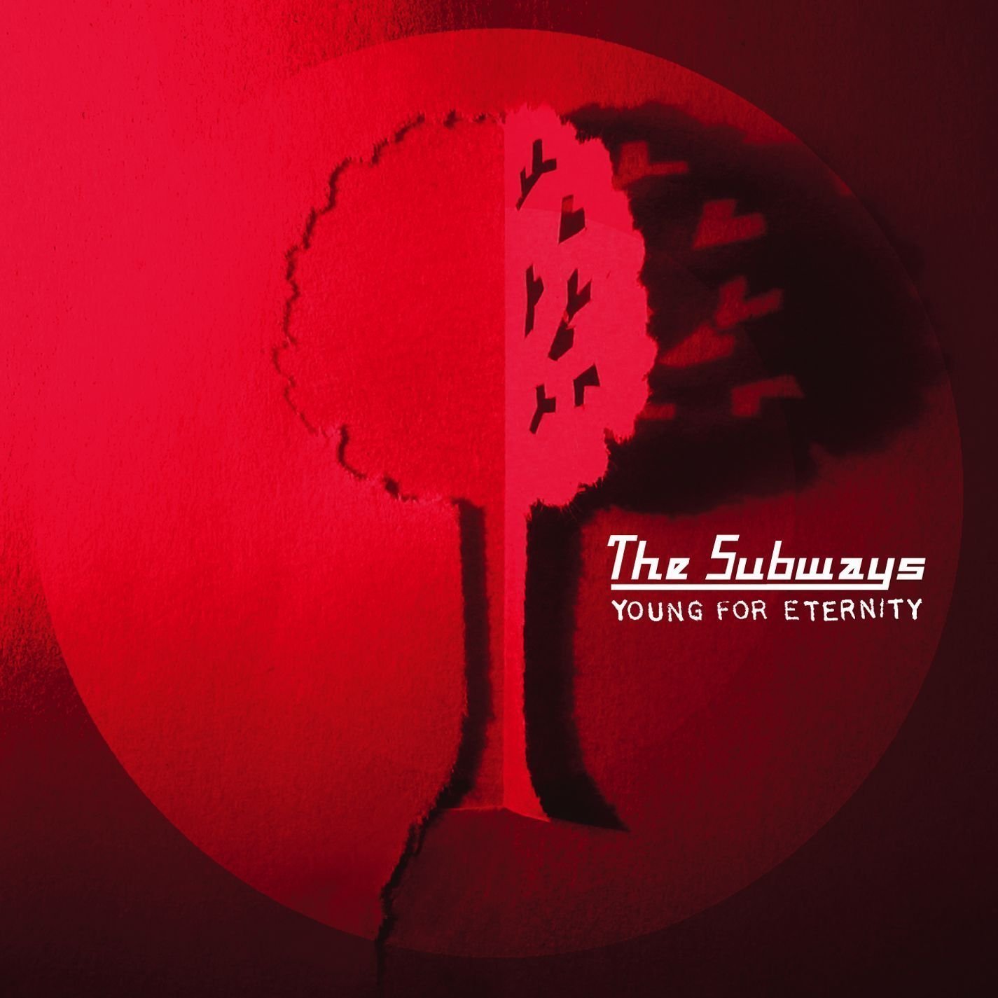 Vinyylilevy The Subways - Young For Eternity (LP)