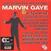 Vinyylilevy Marvin Gaye - That Stubborn Kinda' Fellow (LP)