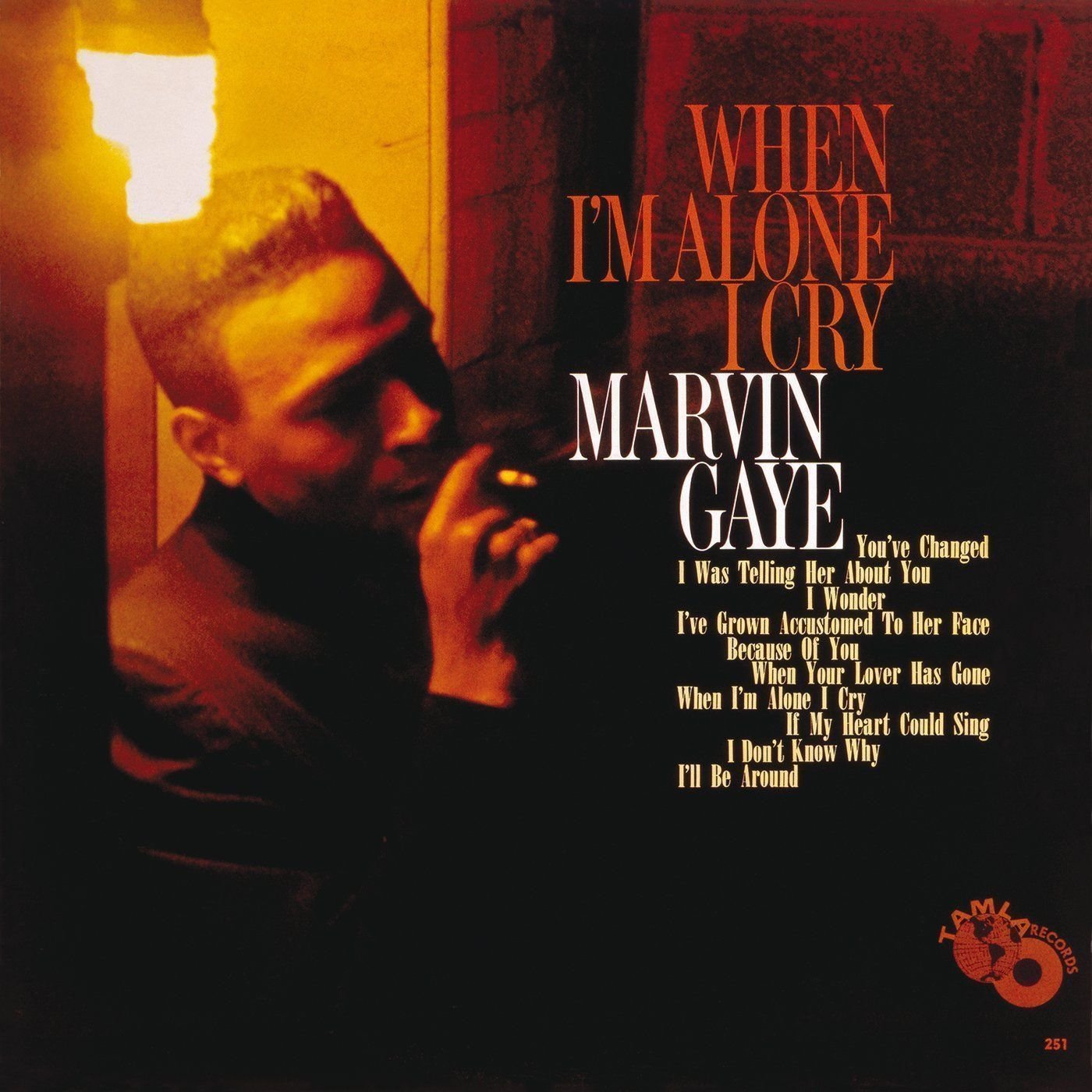 Vinyl Record Marvin Gaye - When I'm Alone I Cry (LP)