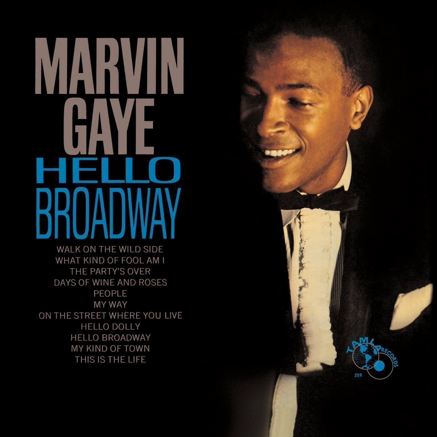 LP Marvin Gaye - Hello Broadway (LP)