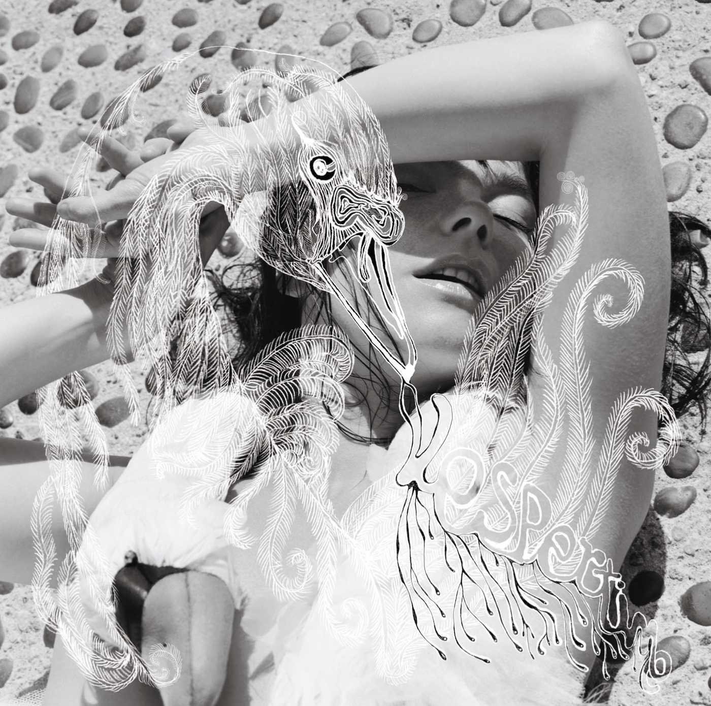 Disco de vinil Björk - Vespertine (2 LP)