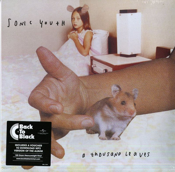 Vinylskiva Sonic Youth - A Thousand Leaves (2 LP)
