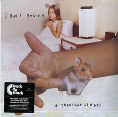 LP ploča Sonic Youth - A Thousand Leaves (2 LP)