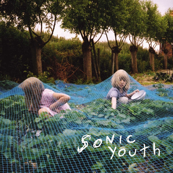 Vinylskiva Sonic Youth - Murray Street (LP)