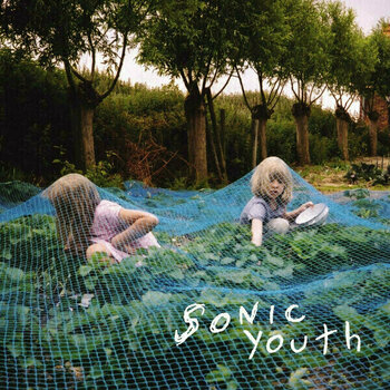 Vinylskiva Sonic Youth - Murray Street (LP) - 1