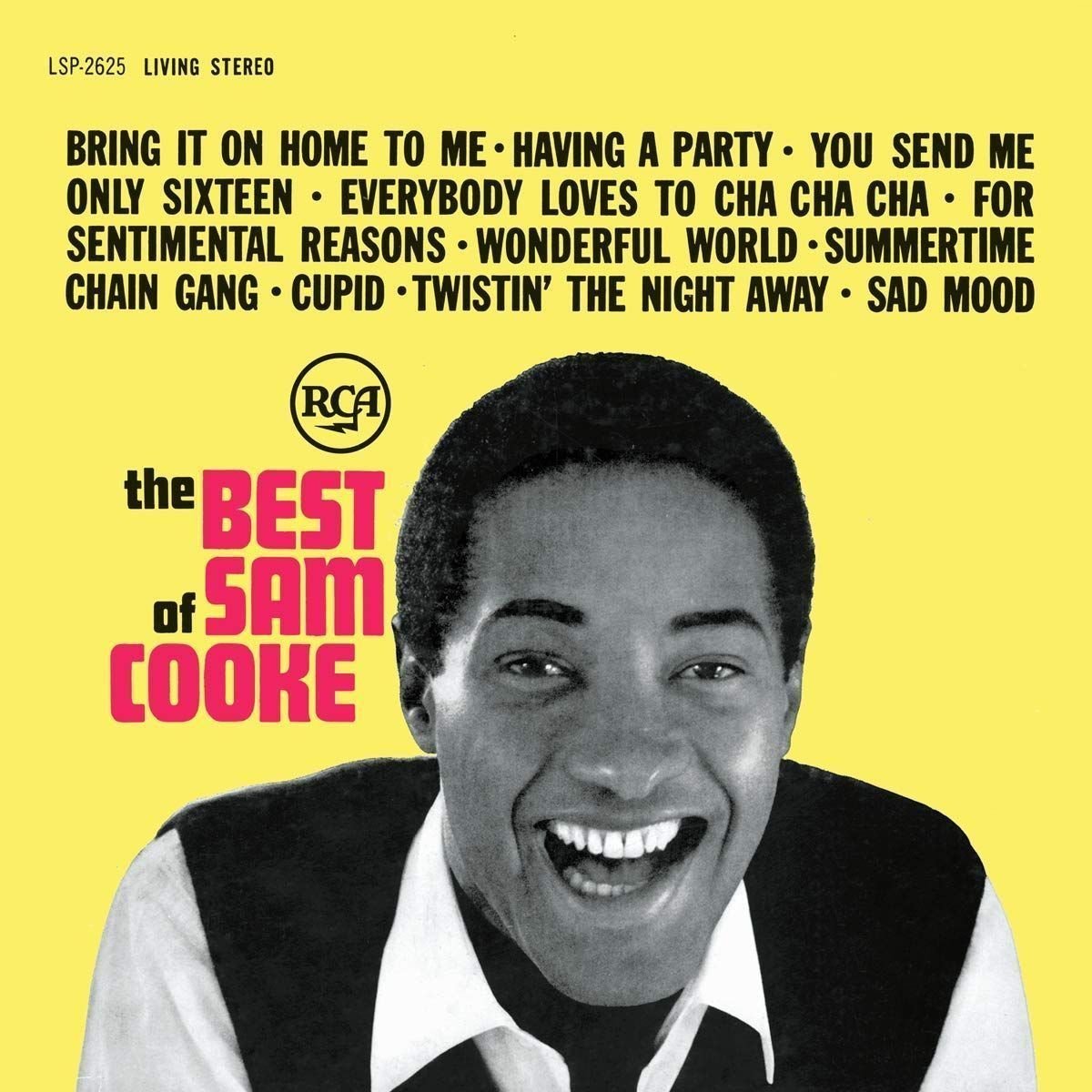 Vinylskiva Sam Cooke - The Best Of Sam Cooke (2 LP)
