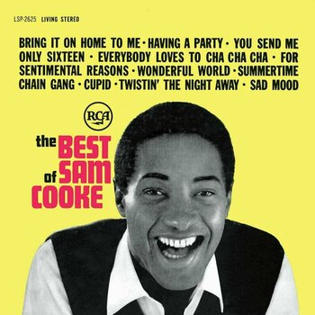 Vinyylilevy Sam Cooke - The Best Of Sam Cooke (2 LP) - 1