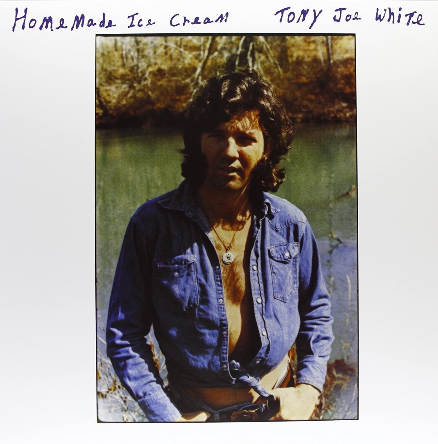 Vinyl Record Tony Joe White - Homemade Ice Cream (LP)